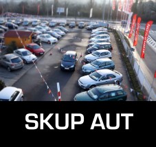Skup aut