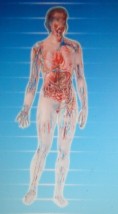 KOMPUTEROWE BADANIE wszystkich narządów, ALERGIA - testy