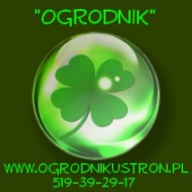 ogrody,usługi ogrodnicze,zakładanie ogrodu,kosze