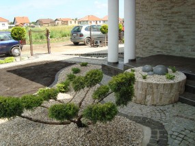 Projektowanie ogrodów