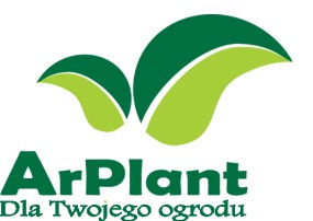 Zakładanie trawników pielęgnacja