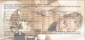 Masaż z dojazdem do klienta/tki