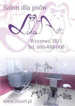 Strzyżenie psów
