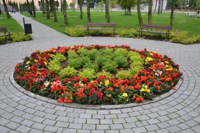 projektowanie terenów zieleni