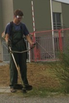 Kompleksowa pielęgnacja ogrodu