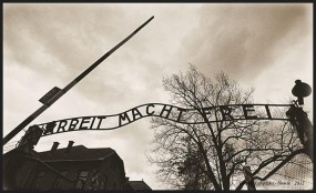 Zwiedzanie Muzeum Auschwitz Birkenau