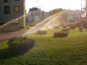 Nawadnianie ogrodów