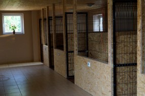 Hotel dla psów Namibo woj. podlaskie