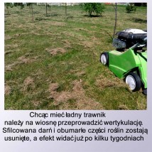 Wertykulacja