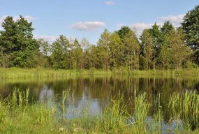 pokoje do wynajęcia