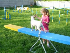 Agility