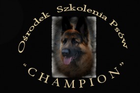 WAKACJE Z PSEM 2012