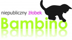Niepubliczny Żłobek Liszki Czernichów Kryspinów Kaszów
