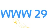WWW 29