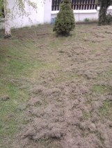 Wertykulacja Bielsko, Czechowice, Kozy