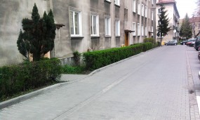 przycinanie żywopłotów Bielsko, Czechowice, Kozy