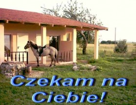 Nocleg