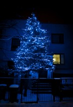 Iluminacje świetlne, dekoracja świąteczna ogrodu