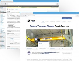 Projektowanie i wdrażanie skutecznych stron internetowych