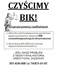 Czyszczenie rejestrów BIK i KRD