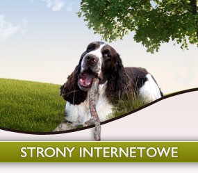 Strony internetowe bez CMS