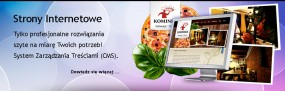 Tworzenie stron internetowych (+CMS)