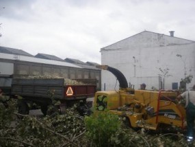 ODŚNIEŻANIE