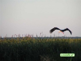 noclegi i pobyt