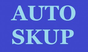 Złomowanie i autokasacja ŚLĄSK 534 127 556