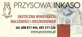 Skuteczna Windykacja Należności i Odszkodowań