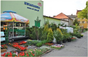 pielegnacja ogrodów, obsługa kompleksowa ślubów