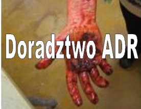 Doradca DGSA