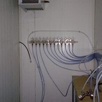 Wykonanie chłodni z instalacją do wyszynku piwa
