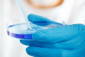 Biolog terenowy