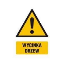 Wycinka drzew