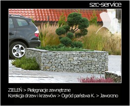 Pielęgnacje zieleni / opieka nad ogrodem