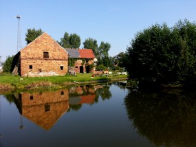 Wynajem pokoi