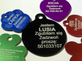 niezgubniki dla zwierzaków