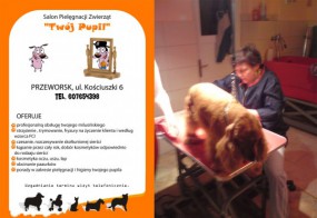 Pielęgnacja zwierząt