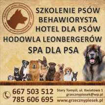 behawiorysta ,zoopsycholog ,szkolenie psów