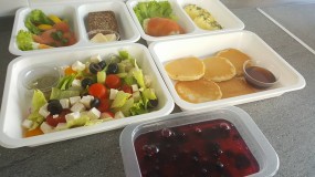 Dieta standard
