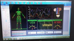 Human Body Scaner HBS Quantum