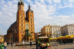 Organizacja wycieczek szkolnych