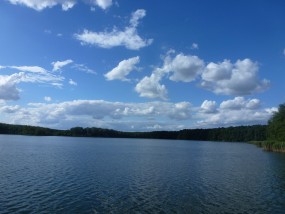 Wycieczka 'fish picnic'.