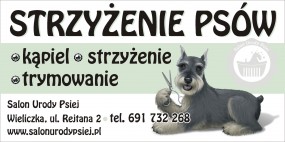 strzyżenie psów, kąpiel psów, trymowanie, wyczesywanie sierści,