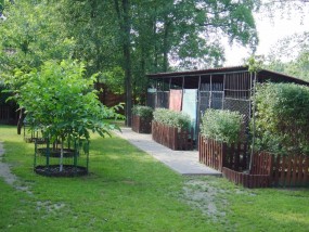 Hotel dla psów