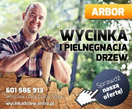 Wycinka drzew parki