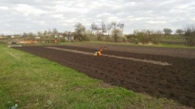 Kopanie ogrodów glebogryzarką