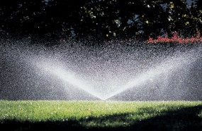 Projektowanie i montaż systemu automatycznego nawadniania