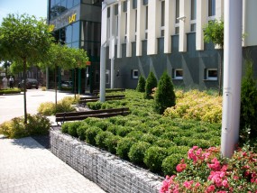 Projektowanie terenów zieleni